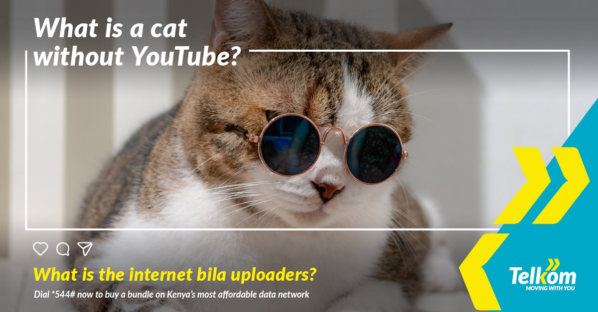 Angry ones, cute ones, curious ones, and plain old dumb ones. They’ve warmed our hearts, made us laugh, and sparked connections with fellow cat lovers. We appreciate the uploaders who share their cats’ precious moments with us! #CheersUploaders