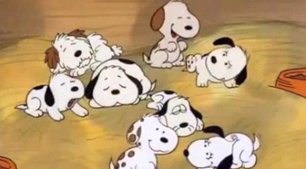 まぐあし Daisy Hill Puppiesっていうスヌーピーの子犬時代を題材にしたエピソードらしい
