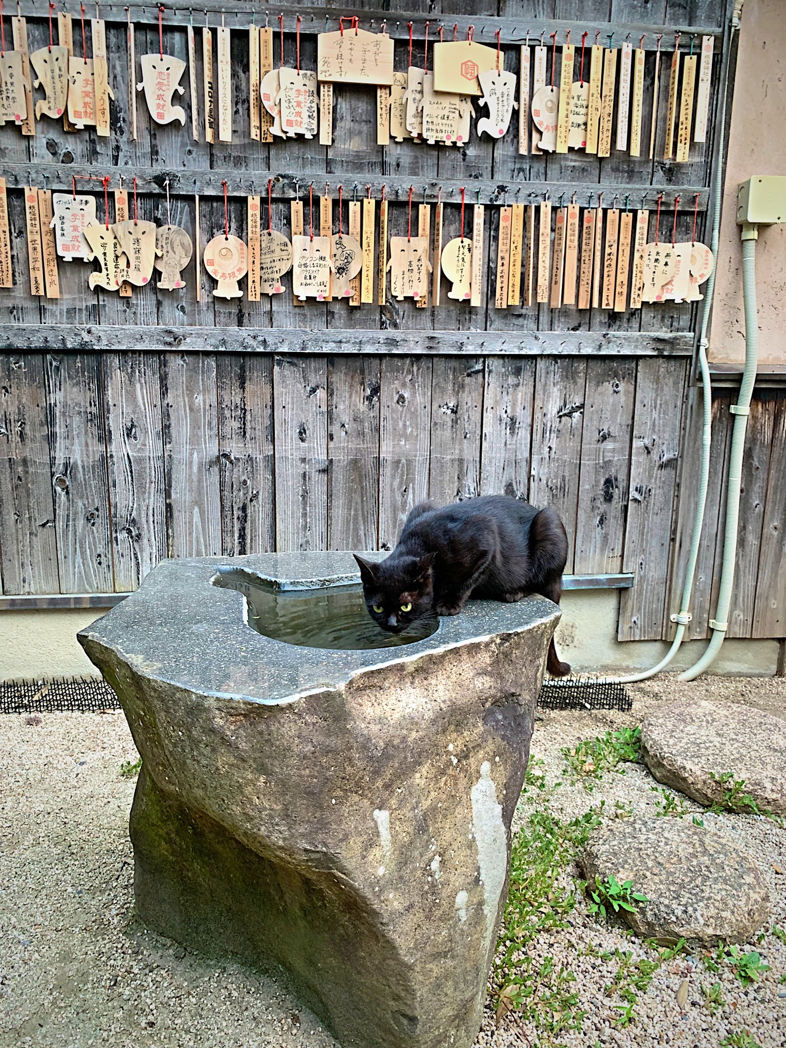 猫間川よしを 冬コミ1日目東ハ43a 今夜の写真 終電父さんの写真にはゴーストが入ったけどお気に入り T Co Jkfxjec6dn Twitter