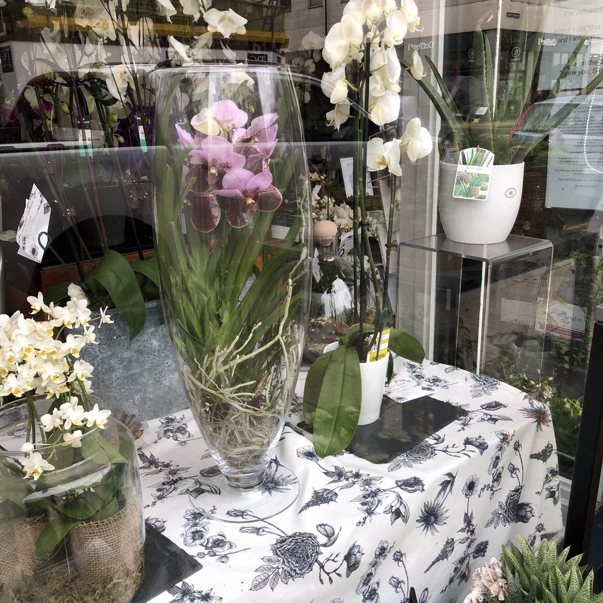 SarahHorne1's tweet image. Have a lovely bank holiday Monday, whatever you have planned!  

I’m just relaxing today after a busy day yesterday, can’t wait to share with you what we’ve been up to.

#online #virtual #flowerclasses #comingsoon