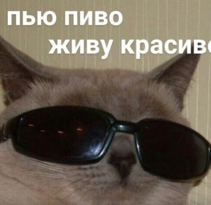__bzv__'s tweet photo. @pornbaby__af Ну ок https://t.co/TTP6qHQDB7