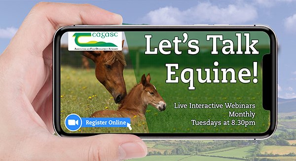 Next webinar in the Let's Talk Equine Series takes place tomorrow, 1 September at 8:30pm. Webinar host Wendy Conlon, Teagasc Equine Specialist will be joined by Tom March, <a href="/MarchStud/">March Stud</a> to discuss developing a breeding programme and herd. Register teagasc.ie/letstalkequine