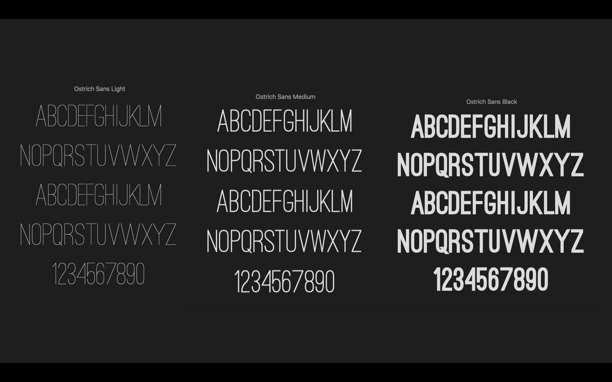 personal fave!!!☼ostrich sans (light/medium/heavy/rounded) https://www.fontsquirrel.com/fonts/ost...