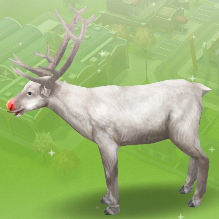 And, yes, we also got reindeers. 