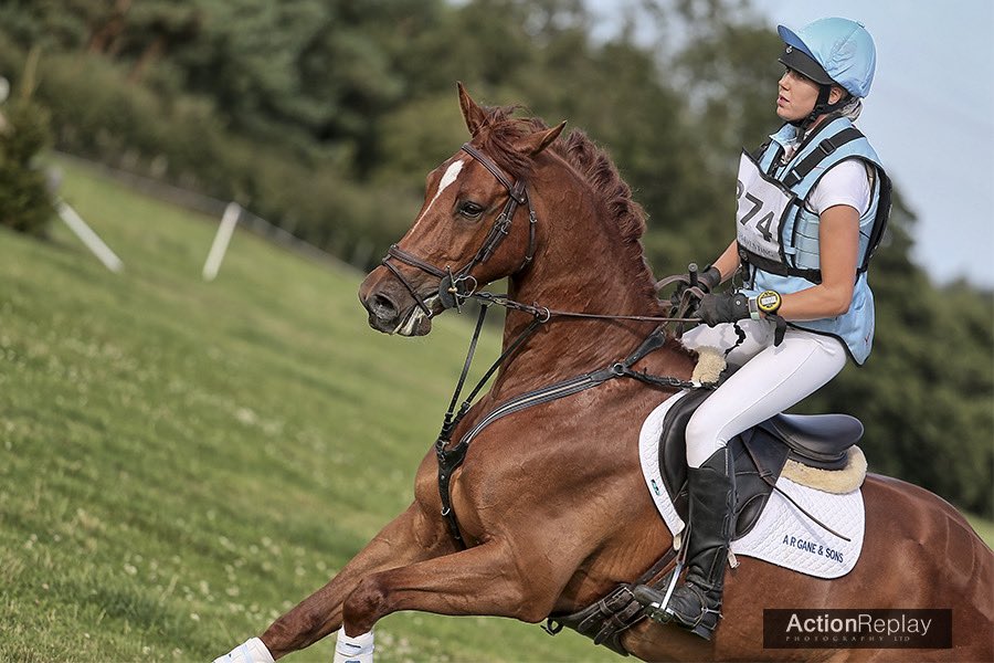 Extasy SR Z owned by <a href="/b_b192/">Bonnie Bartlett</a> and <a href="/anthonyperkins/">Anthony Perkins</a> on his way to winning his section last week finishing on his dressage score of 21. 💎