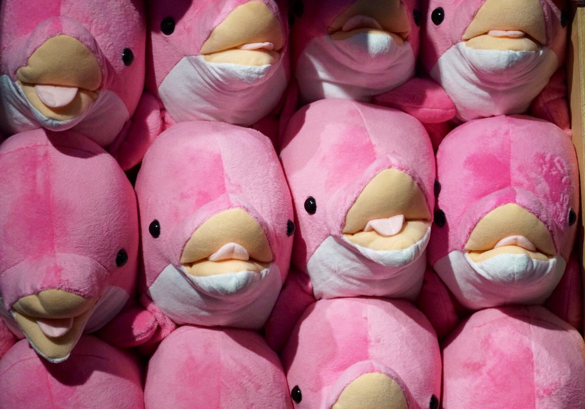 ぬいぐるみ Koki hasshy11000 ぬいぐるみ Koki hasshy11000 ハイジの日 #おすすめ商品 8/12は