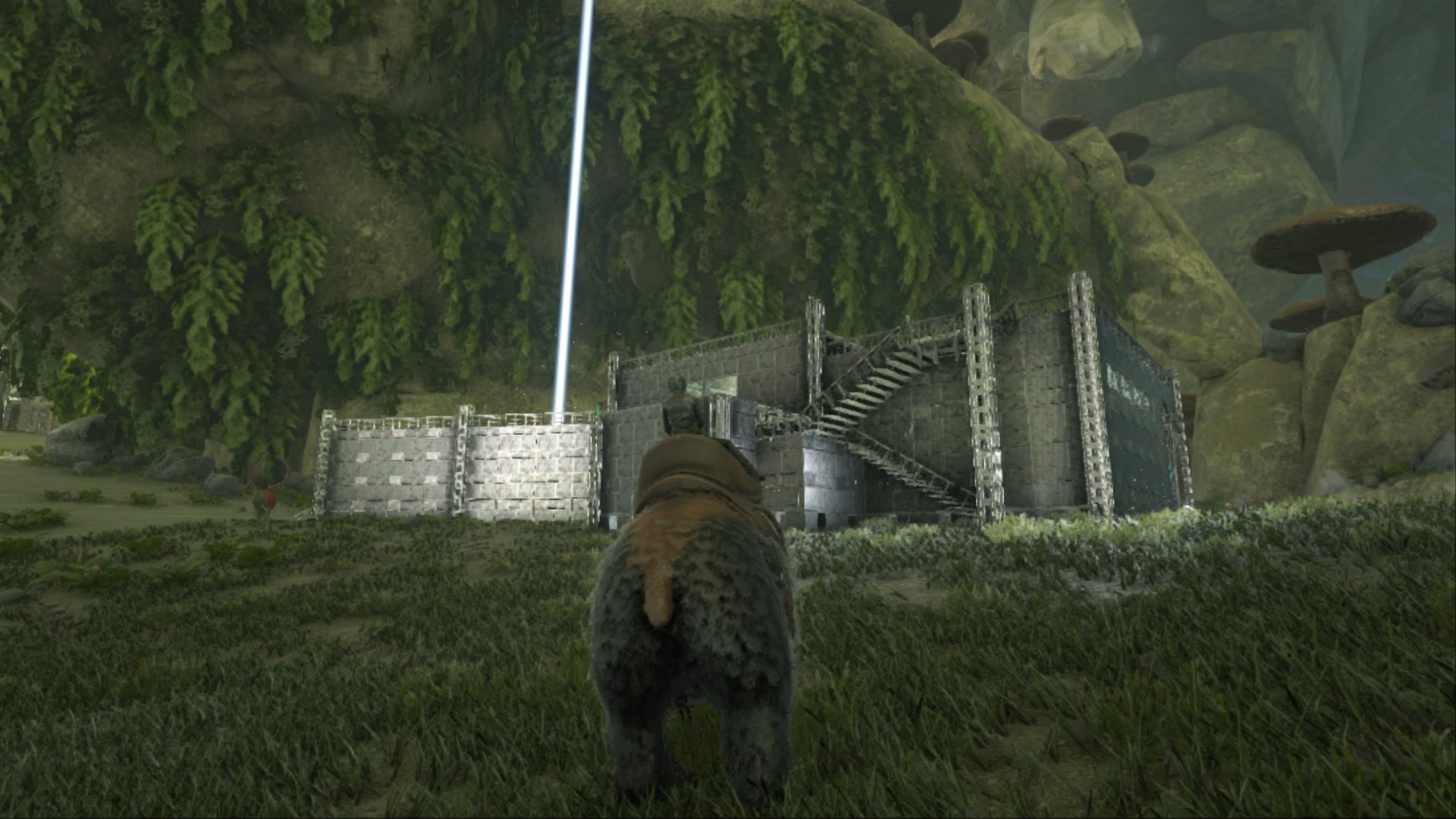 アベレーション Twitter Search Twitter