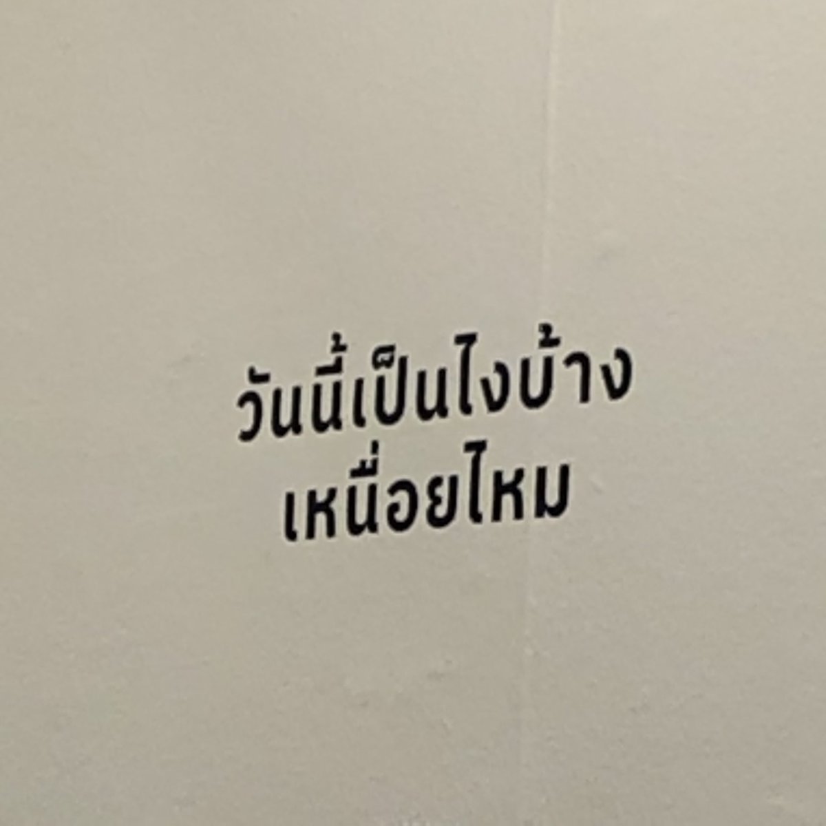 ณภัทร tweet media