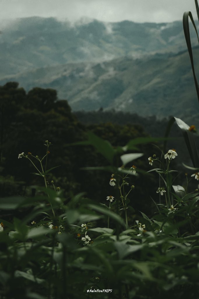 Relationtripsss's tweet photo. บางที”ระหว่างทาง” 🌱
ก็ดีไม่แพ้จุดหมายปลายทางเหมือนกันนะ 
#RelationTRIPS 
#รีวิวน่าน #น่าน #Nan #Thailand #ReviewThailand  @Review_Thailand https://t.co/ND8LMMWbKc
