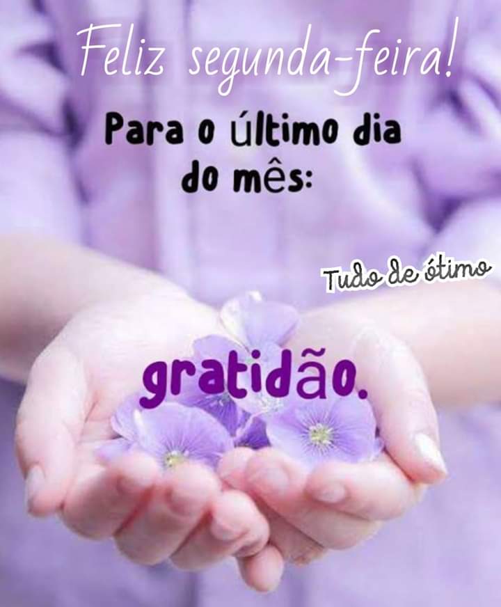 Aurélio on Twitter: Aurélio on Twitter: