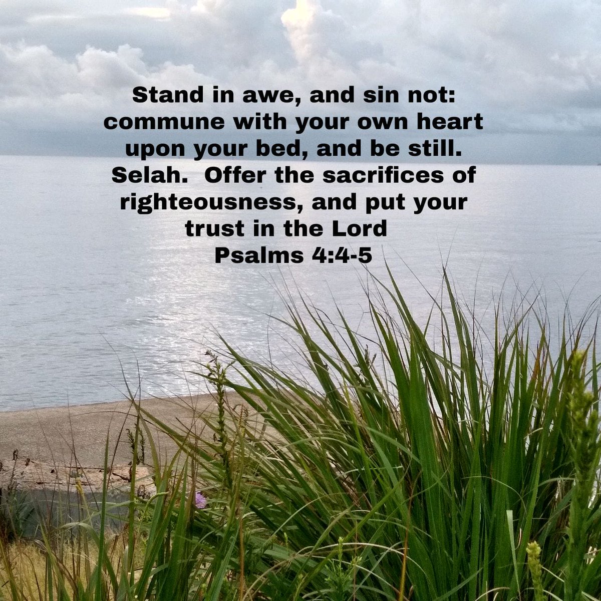 TeamJesusSue's tweet photo. Stand in awe, and sin not: commune with your own heart upon your bed, and be still. Selah.  Offer t…
https://t.co/Qgc1v6J5NI https://t.co/eTHAaTr363