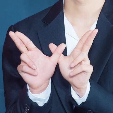 egseuwon's tweet photo. What’s with this hand sign? They’re using their wings as weapons. https://t.co/1wiFMIoWsb