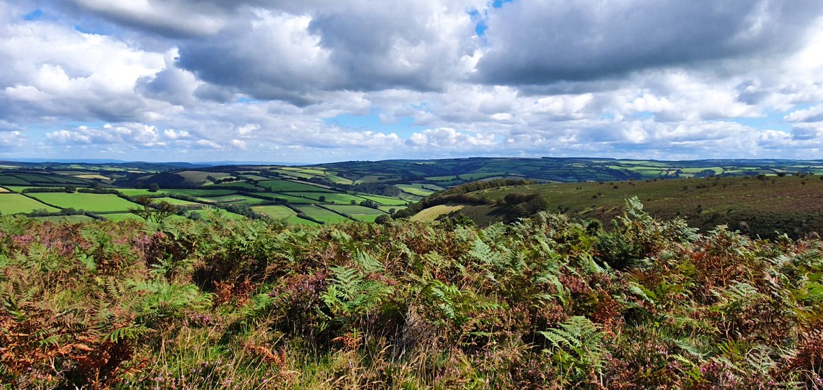 David_CWM's tweet image. Well I made it into the 60's club today😱😉👍
Down in Exmoor for a long big birthday weekend.