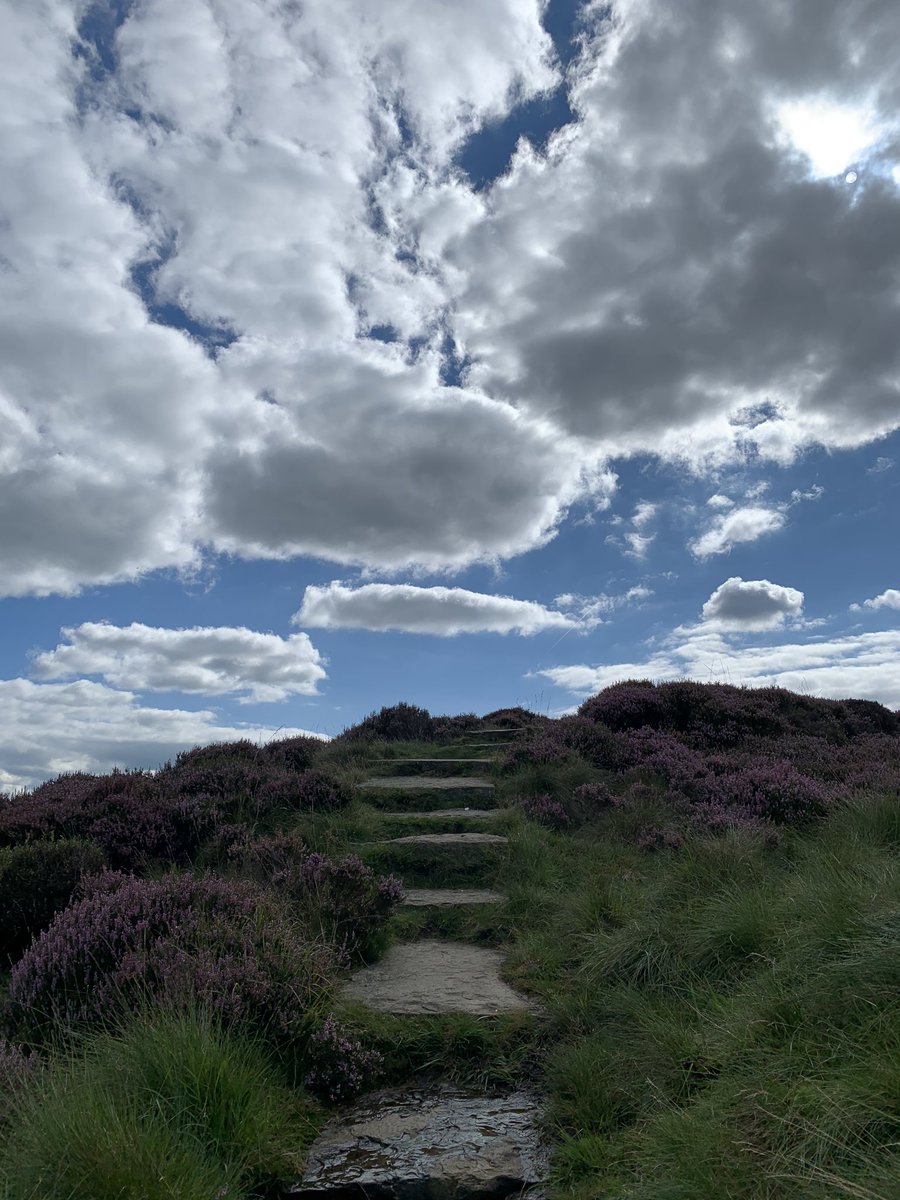 Walking up Black Hill and marvelling at the views and at the peace. But most of all marvelling at the stone path 😁.. miles after miles and not one bit of ‘green’ on it.. proof positive that you do not need to seal great stone!! @MarshallsGroup @MarshallsReg