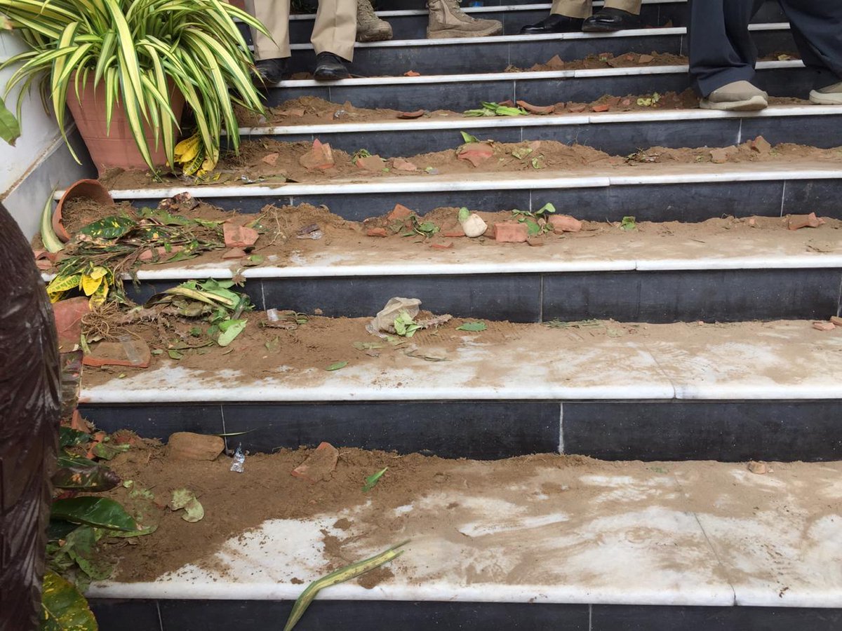 Some plants on the steps of the CBC office didn't survive the protest. Protesters crowded the steps when they tried to get into the building and later sat there while waiting for the CEO