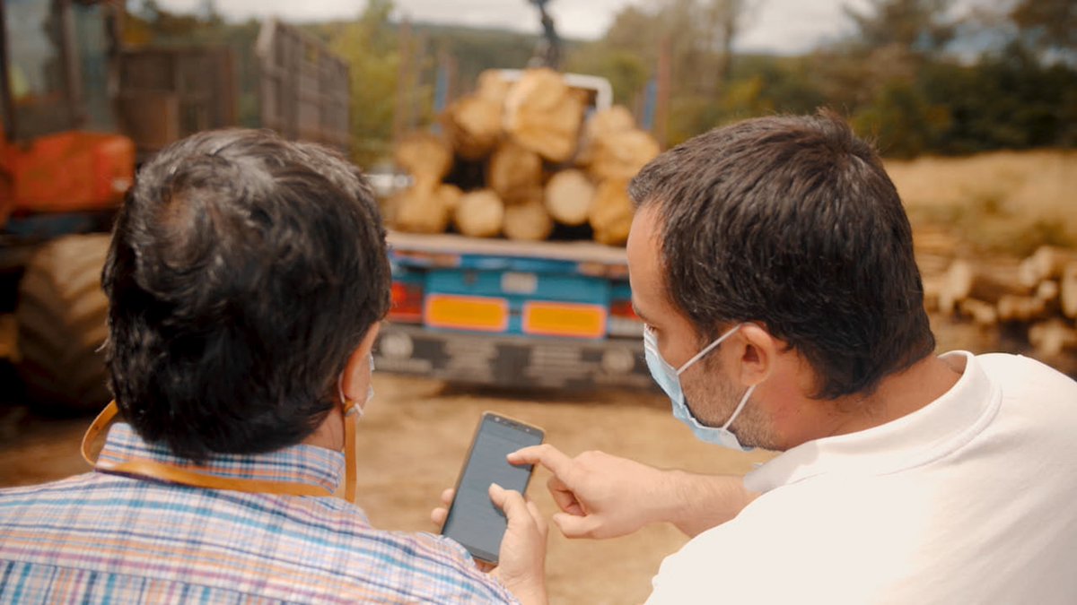 ChainWood tweet media