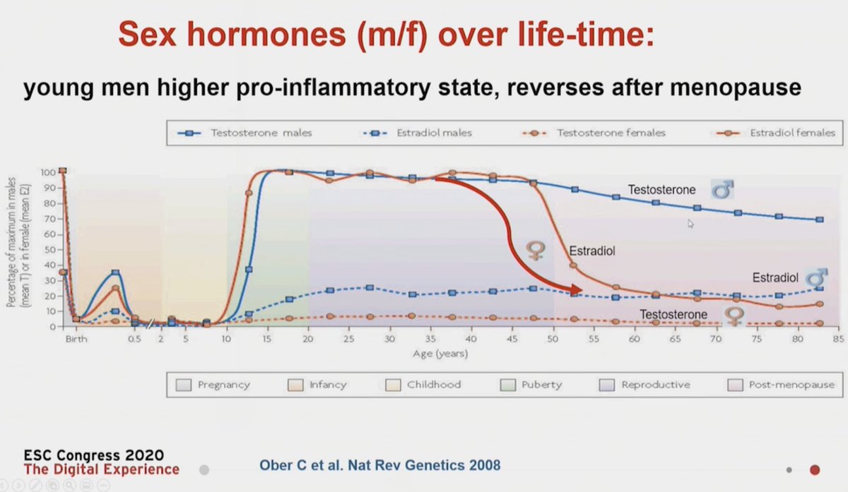  #ESCCongress  @MaasAngela presenting on IHD in perimenopause:So Who is at risk? And why?Hormones fluctuate over a lifetime in BOTH men &There are benefits of estrogen in women protecting them but at menopause it changes and more risk factors the risk for  disease