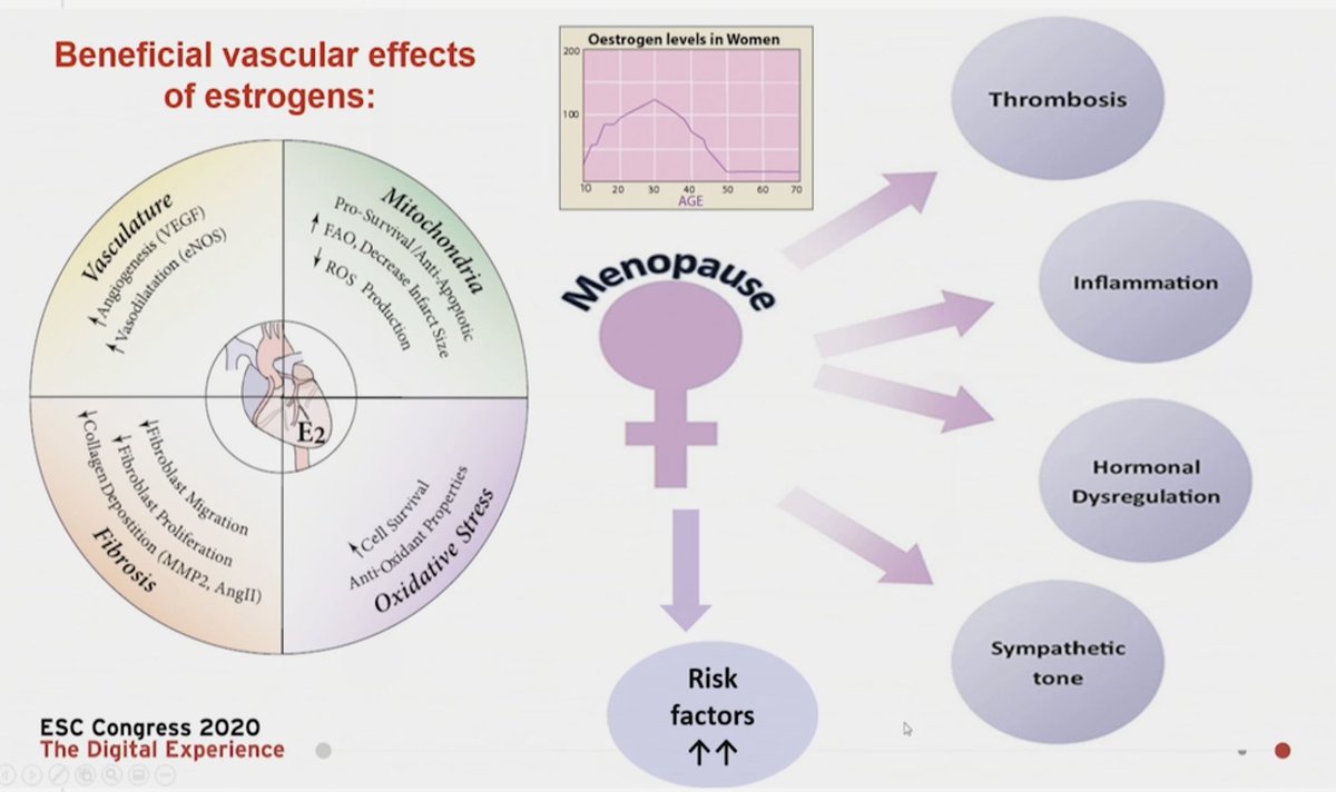  #ESCCongress  @MaasAngela presenting on IHD in perimenopause:So Who is at risk? And why?Hormones fluctuate over a lifetime in BOTH men &There are benefits of estrogen in women protecting them but at menopause it changes and more risk factors the risk for  disease