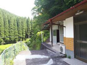 杉と共にいきる