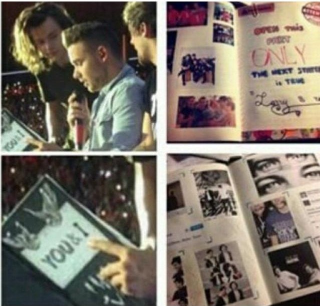 now, here is the most important part. the person who made this book shared the pictures online