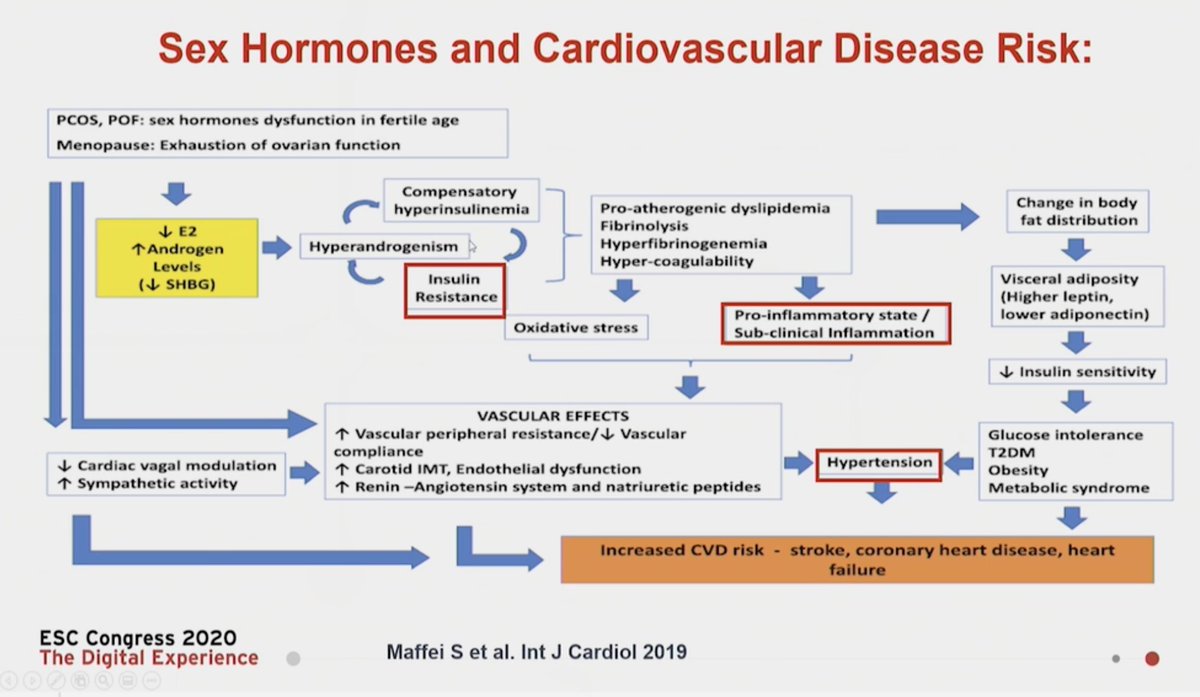  @MaasAngela  #ESCCongress insulin resistanceinflammation adverse cardiometabolic risk profileAll seen in menopause, increasing the risk of CVD in 