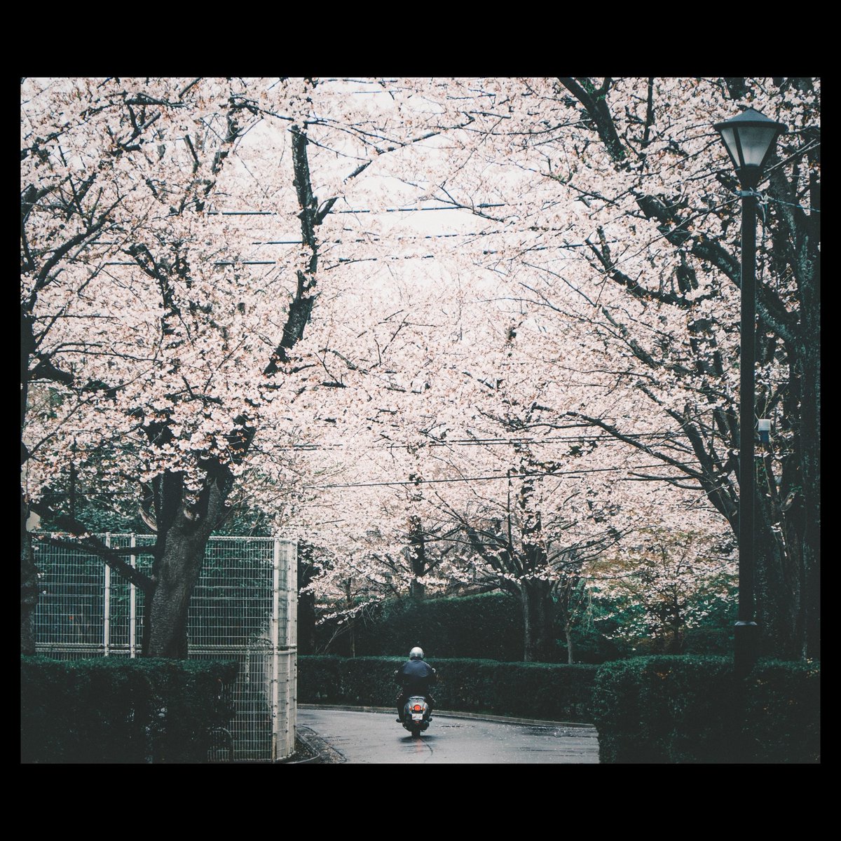 OonoTity's tweet photo. 【 #通り過ぎたなんでもない毎日 】
・
・
・
#なんてことのない写真 #黄色計画 #千葉 #fuji_xseries #galaxynote9 #vscocam #japan #japan_photo_now #写真好き #写真好きな人と繋がりたい #reco_ig #snap #snapshot https://t.co/j5xVgwcJOd