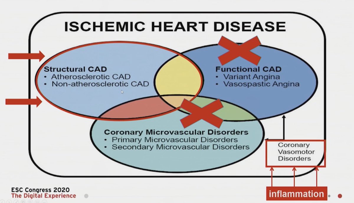  #ESCCongress  @MaasAngela we know a lot about obstructive CADWE do not know enough about Coronary Vasomotor disorders or Microvascular disorders (INOCA/MINOCA)- these affect Our knowledge about assessment & treatment of non obstructive CAD remains limited @Drroxmehran