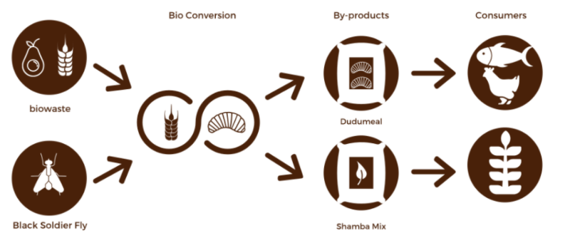🇰🇪 If you are a farmer in #Kenya or know some farmers in Kenya, here is <a href="/EcoduduKe/">Ecodudu</a> proposition for you: 

Generate extra income by rearing insects🐜at your premises leveraging your organic waste. 

Just register here 👇 and they will contact you:
ecodudu.com/farmers-regist…