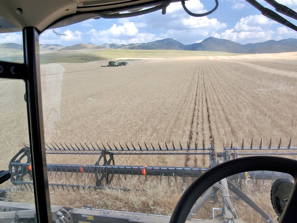 Its been nearly half a year since this pandemic changed our lives. How are all of you doing? Are you more/less concerned now than 6 months ago? What is life like in your area? How many of you have been like me & were 100% sure you contracted covid because you had a symptom?