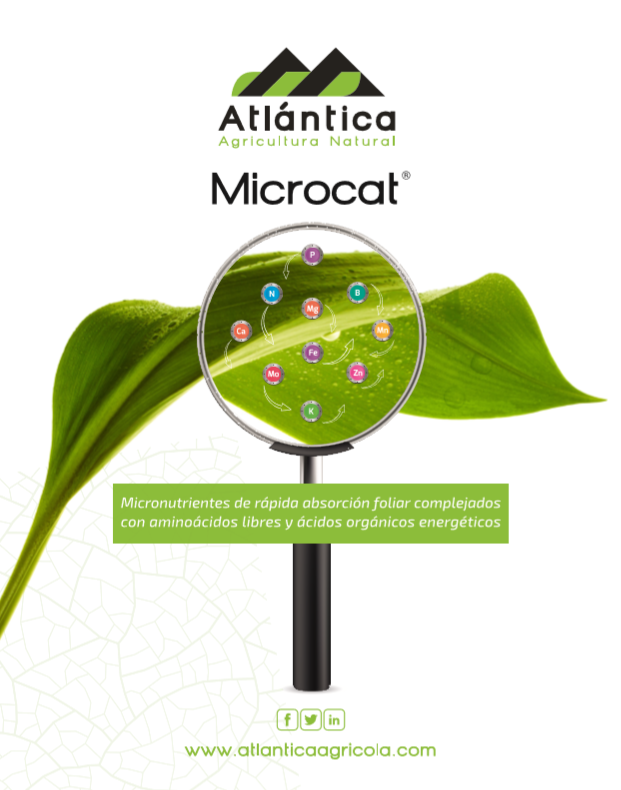 AtlanticaAGRI's tweet photo. 🌱🔍📊 Descubre nuestra gama #MICROCAT ➡ Micronutrientes de rápida absorción foliar complejados con aminoácidos libres y ácidos orgánicos energéticos ⏩⏩ https://t.co/sMBcgfpPmQ https://t.co/N8Dc4L0bsM