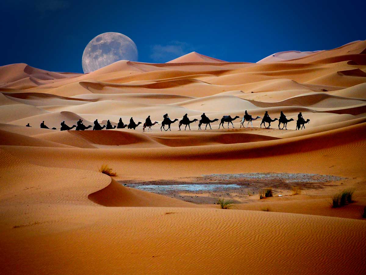 Арабский оазис. Пустыня караванщики Оазис. Пустыня Каракум Барханы. Пустыня Барханы Оазис. Пустыня Такла Макан.