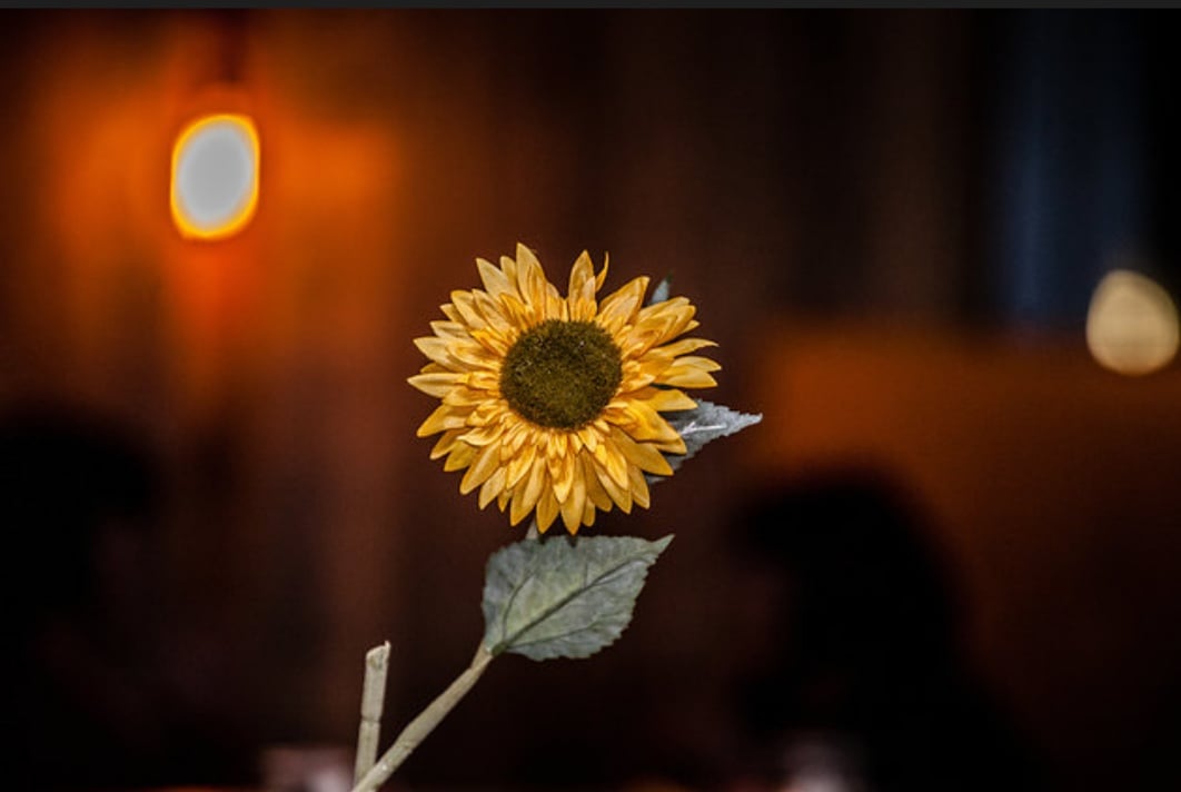 You may want to sit down, we've got some news.

At the end of September we close for good at Witan Studios. All you need to know is here fourthandfifthmk.co.uk/closing-statem…

It's sad.  It's unfortunate. It's not Covid related. We're open. We're taking bookings.

Come see us out 💛

Thank you