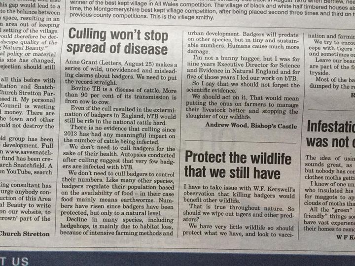 Shropshire Badger Grp tweet media