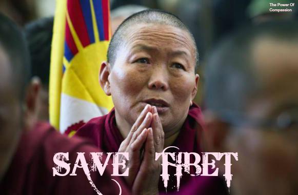World leaders should stand with #Tibet and #Tibetians everybody talk about human rights, why not in Tibet issue. Let all the world leaders should join together to free #Tibet from Devil #China.