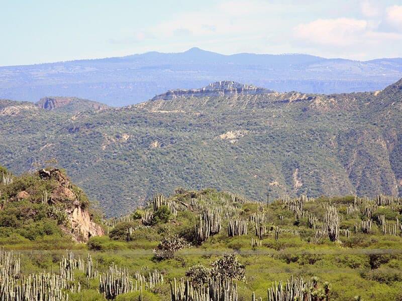 UPFIM_Oficial's tweet photo. Hidalgo cuenta con uno de los Corredores Biológicos más importantes de México, con 9 mil hectáreas protegidas. La UPFIM #UnidadAcadémicaMetztitlán preside el Consejo Asesor de la Biósfera “Barranca de Metztitlán”.

Cuarto Informe de Gobierno 
#FrenteAlosDesafíosCrecemos https://t.co/3ox56qCabM