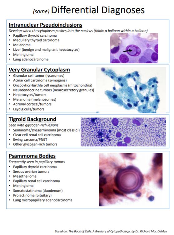 beginning symptoms of emphysema