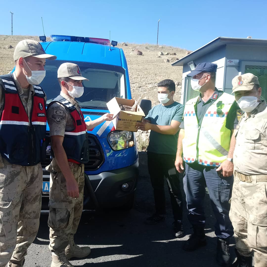 Kars İli Sarıkamış İlçesinde duyarlı vatandaşlarca yaralı halde bulunup Sarıkamış İlçe Jandarma Komutanlığı ekiplerine teslim edilen Gökdağan DKMP ekibimizce teslim alınarak Kafkas Yaban Hayvanı Kurtarma ve Rehabilitasyon Merkezimize getirilmiş ve tedavisine başlanmıştır.
