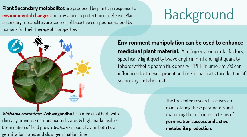 Lauren Plotnik tweet media