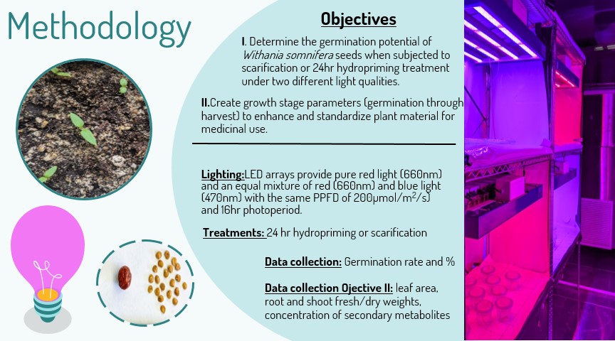 Lauren Plotnik tweet media