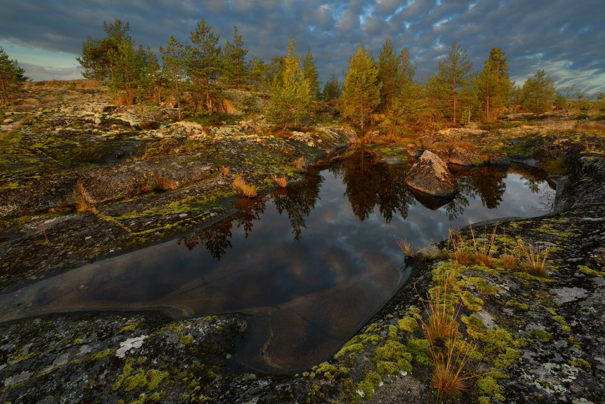 RussianIslander's tweet image. Почему в Карелии столько озёр?
sorola.ru/articles/zname…