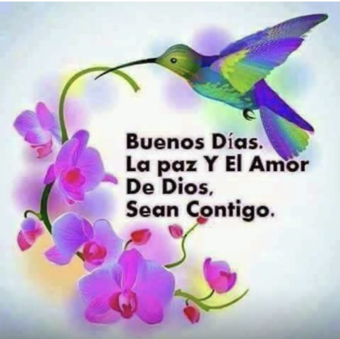 GLORIAVALLEJOO's tweet photo. Bendecida semana 🙏🏼🙌🏼 https://t.co/wj60Mrh2B2