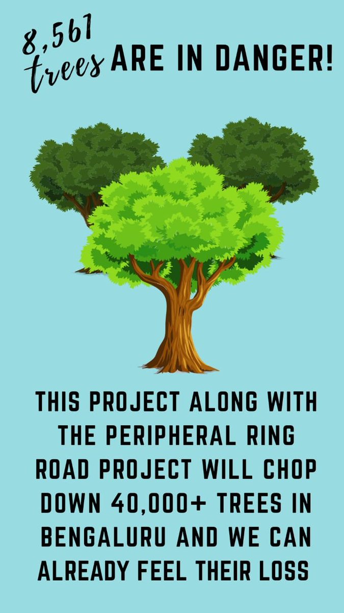 BengaluruAgenda's tweet photo. @CMofKarnataka KRDCL has not held PUBLIC CONSULTATION for road widening project - violation of law &amp; contempt of High Court!  

#KRDCL_BEDA
#KRDCLRoadWideningBEDA
#MaraKadiBedi
#SaveHeritageTrees
#ScrapRingOfDeath
#SaveBengaluru
#StopBengaluruEcocide
#StopTreeMassacre https://t.co/F1Sk5yFNDh
