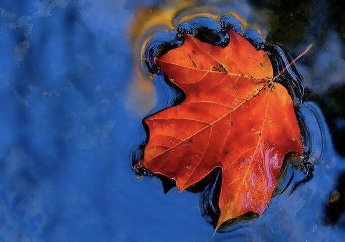 호방 (@hhofoybang) on Twitter photo 