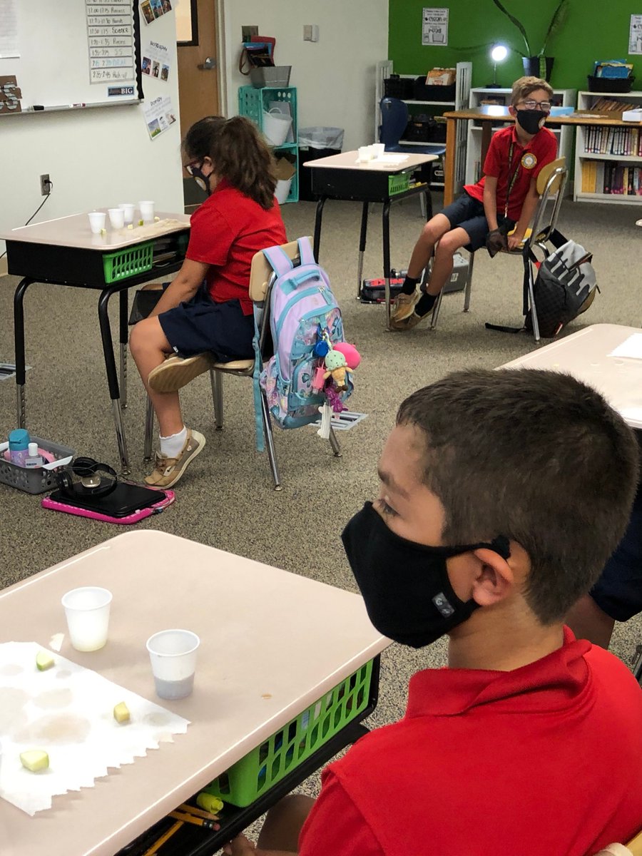 StMarthaCS's tweet photo. Mrs. Smithers' 4th Graders are working on the SCIENTIFIC METHOD. They completed an experiment showing which solution is used to keep apples from browning. #ExcellenceInKnowledge #STREAM https://t.co/QxjYFKdgmD