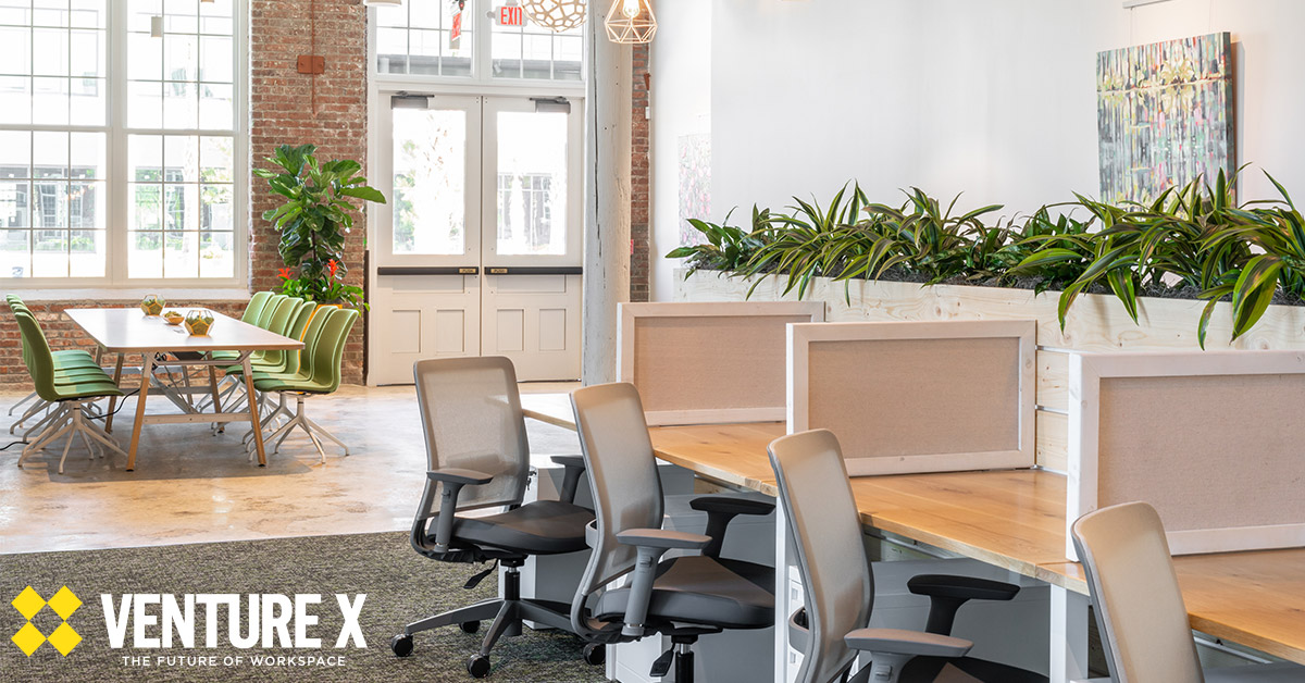 VentureXUSA's tweet photo. Did you know that having #plants in your #office space can increase #productivity and #happiness? #workplacewellness #didyouknow #venturex #wellness #futureofwork #greenthumb #thefutureofworkspace #futureofbusiness https://t.co/1rlzdYf7cV https://t.co/x03pujofYs
