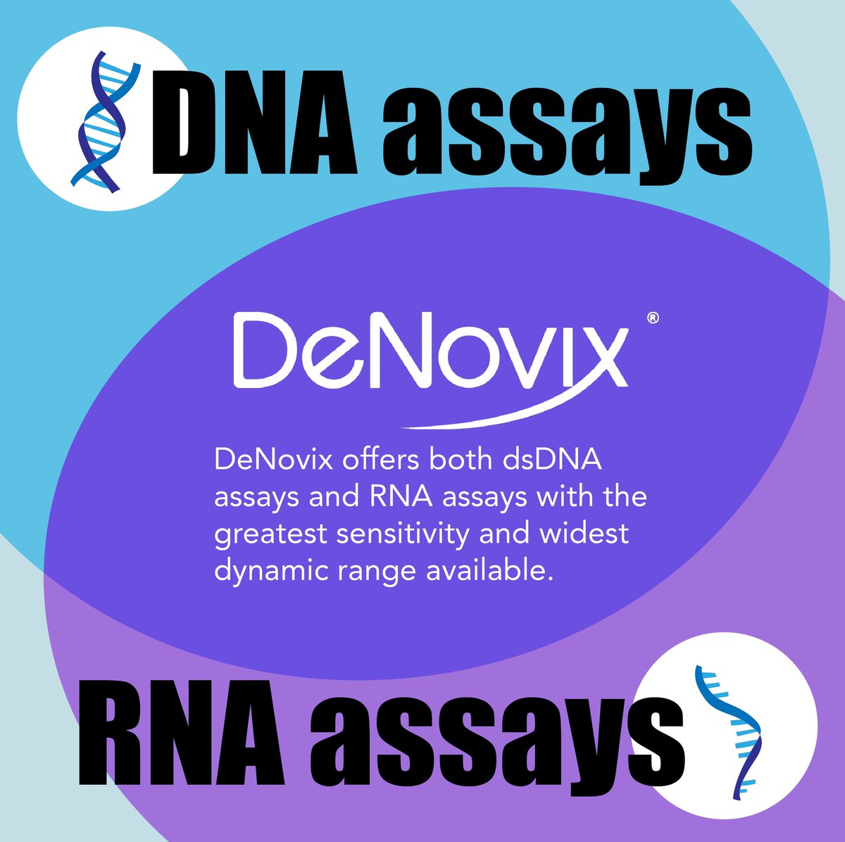 DeNovix's tweet image. DeNovix offers dsDNA and RNA assays, which have the greatest sensitivity and widest dynamic ranges available.

For more info, visit denovix.com/assays.

#microbiology #biotechnology #fluorometer