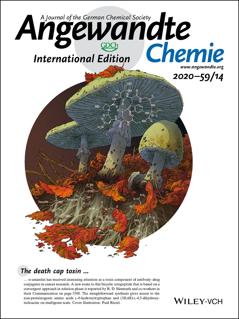The <a href="/angew_chem/">Angewandte Chemie</a> poster with our amanitin 🍄 #cover finally arrived! Thanks to talented <a href="/PRietzl/">Paul Rietzl</a> for the #GraphicDesign, and congratulations again to the authors Mary-Ann Siegert and Caroline Knittel. 

👉Click here to check out their article doi.org/10.1002/anie.2…