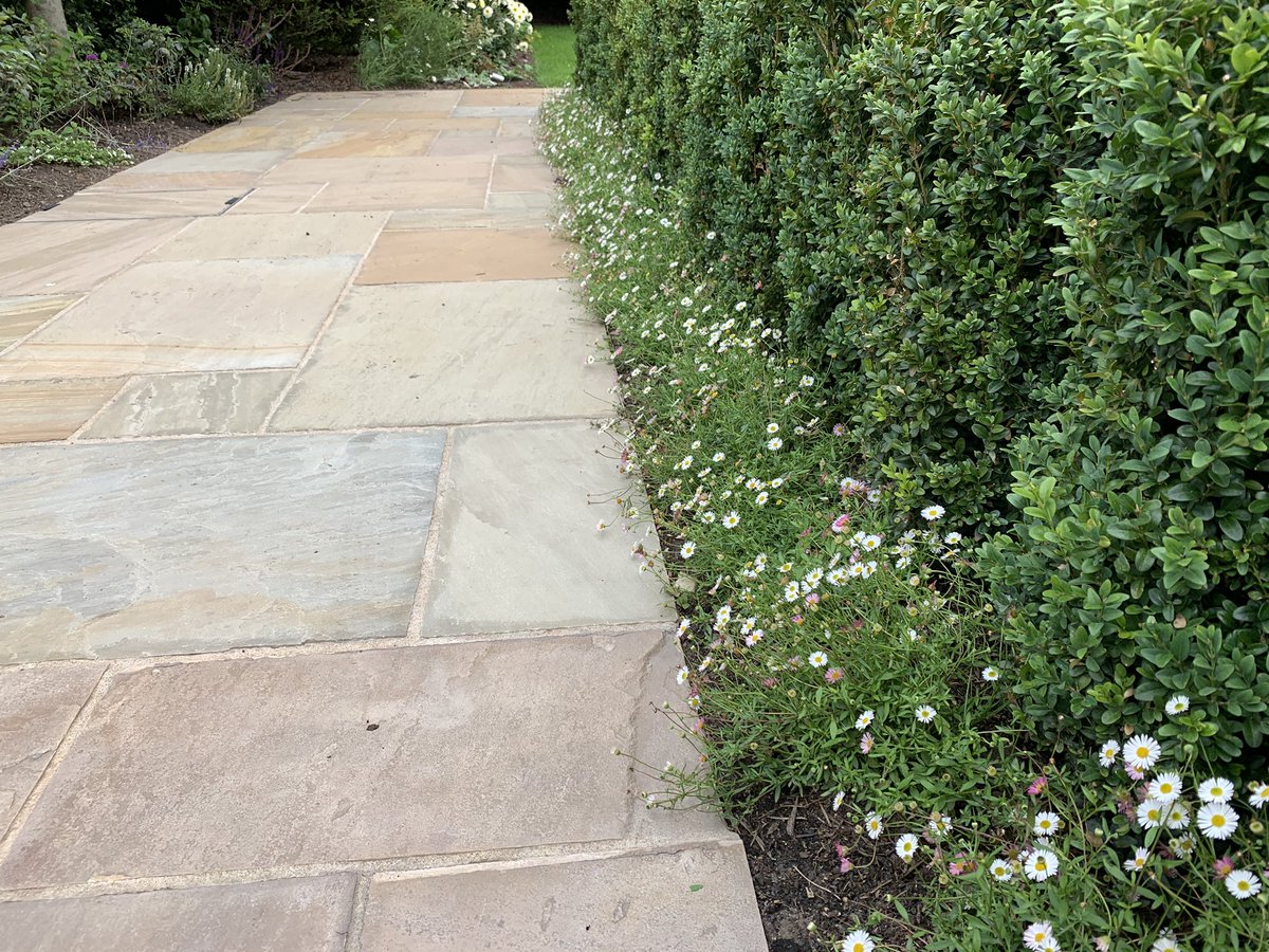 VisionLandscap1's tweet photo. A great family garden we created, reusing most of the existing paving and reshaping the layout to make a more usable space. With thanks to @MatthewRycraft for the pics https://t.co/oIfBStdrBb