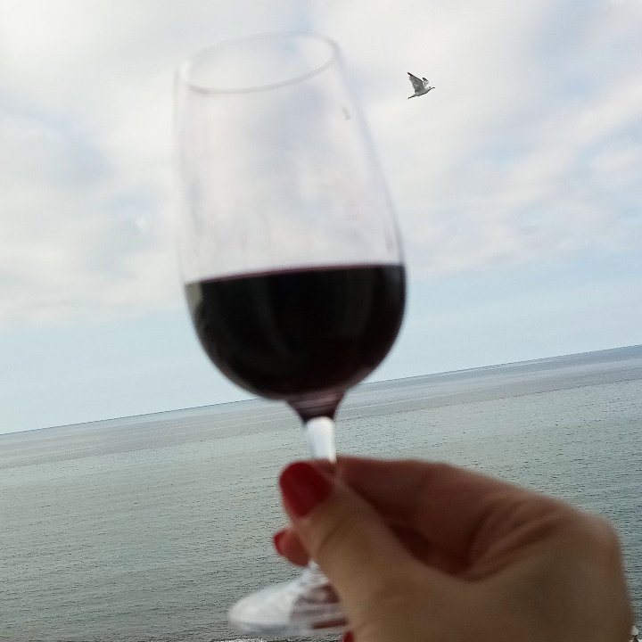 Have a Great New Week!  🍷#wine #winelovers #redblend 
#winetime  #BlackSea 🌊 #Turkey #MondayMotivation #lovemylife #cheers #gezincee