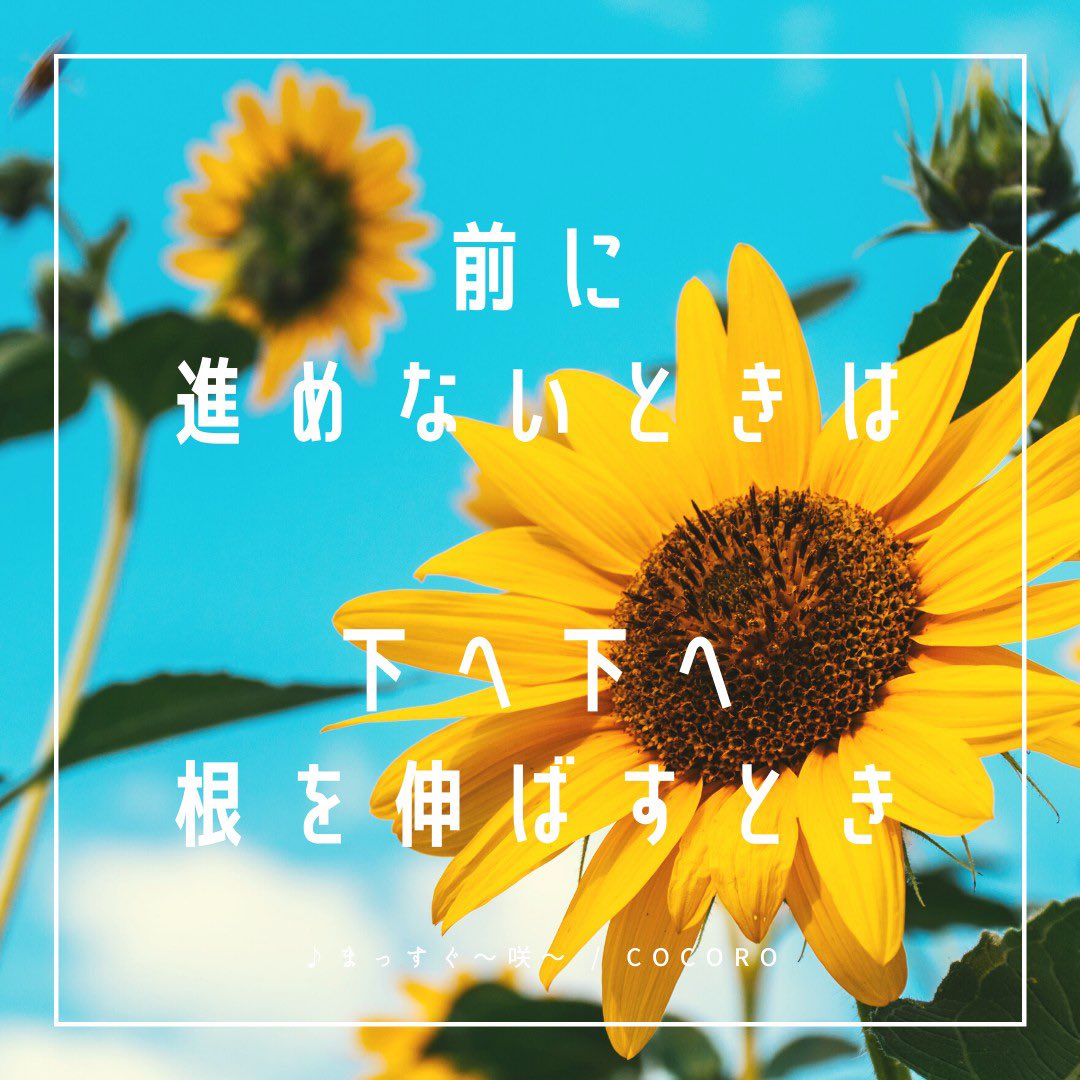 Cocoro サプリsong Twitterissa オリジナル曲 まっすぐ 咲 より T Co Dllvt9hyqe Cocoroポエム ひまわり まっすぐ 咲く 花 浦上秀樹 こころ文字 アーティスト 向日葵 前進 根っこ Cocoroポエム 歌詞 夏の終わり 停滞期 Summer Cocoro サプリsong Twitterissa オリジナル曲 まっすぐ 咲 より T Co Dllvt9hyqe Cocoroポエム ひまわり まっすぐ 咲く 花 浦上秀樹 こころ文字 アーティスト 向日葵 前進 根っこ Cocoroポエム 歌詞 夏の終わり 停滞期 Summer